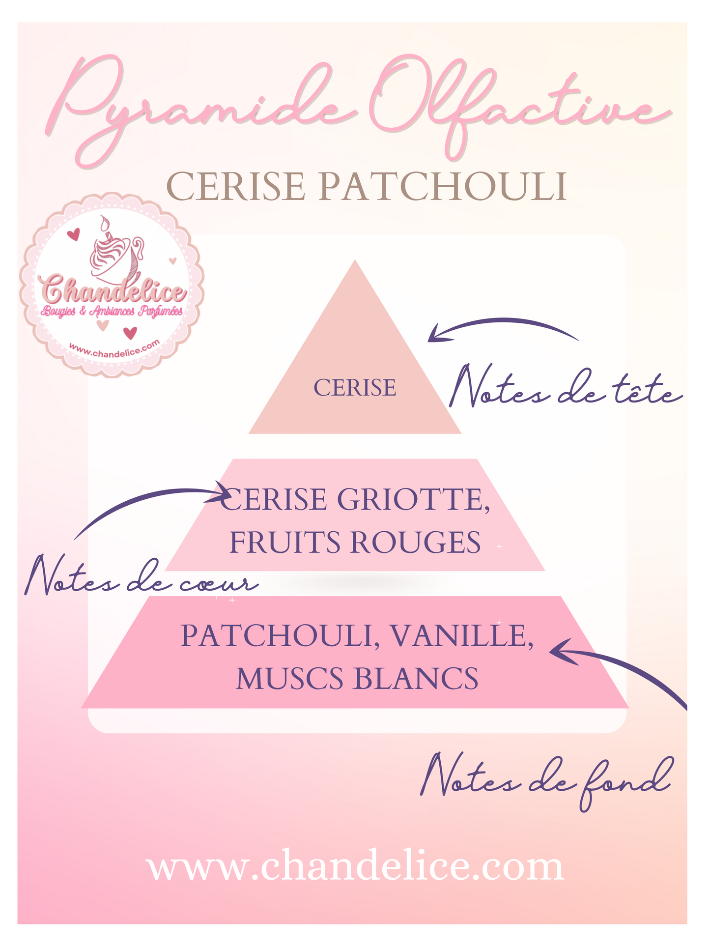 Pyramide olfactive Cerise Patchouli