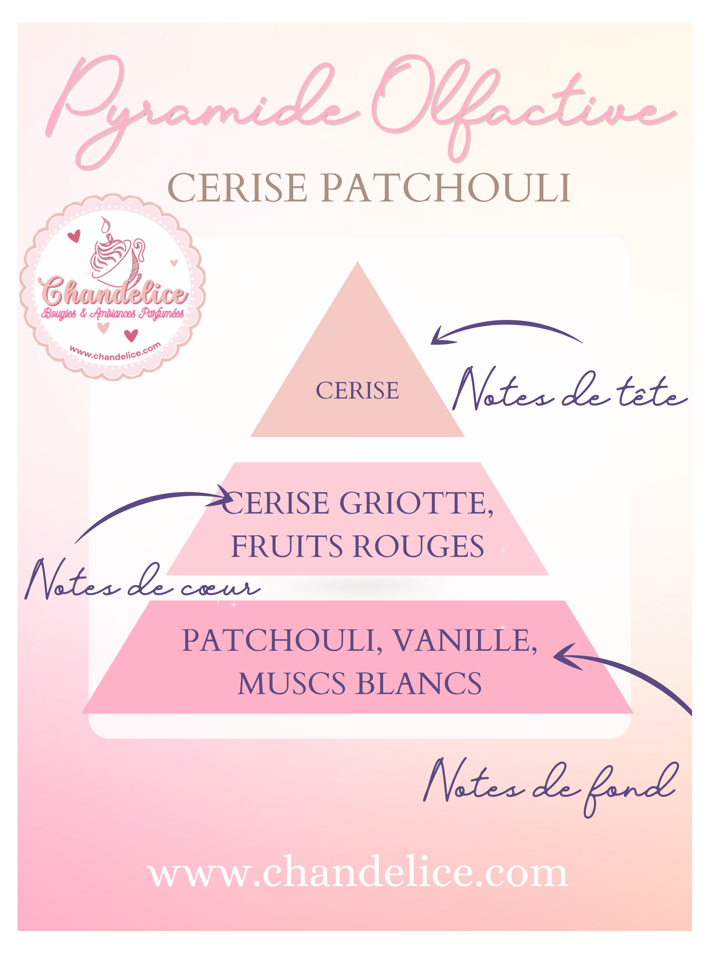 Pyramide olfactive Cerise Patchouli 